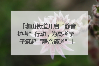 珈山街道开启“静音护考”行动，为高考学子筑起“静音通道”