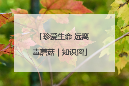 珍爱生命 远离毒蘑菇｜知识窗