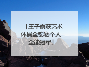 王子露获艺术体操全锦赛个人全能冠军
