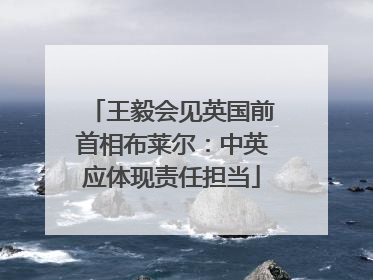 王毅会见英国前首相布莱尔：中英应体现责任担当