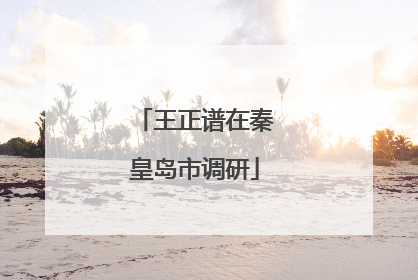 王正谱在秦皇岛市调研