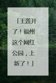 王莲开了！福州这个网红公园，上新了！