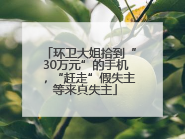 环卫大姐拾到“30万元”的手机，“赶走”假失主等来真失主