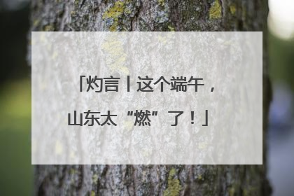 灼言丨这个端午，山东太“燃”了！