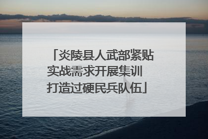 炎陵县人武部紧贴实战需求开展集训 打造过硬民兵队伍
