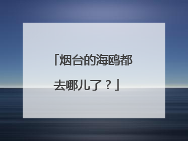 烟台的海鸥都去哪儿了？