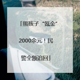 熊孩子“氪金”2000余元！民警全额追回