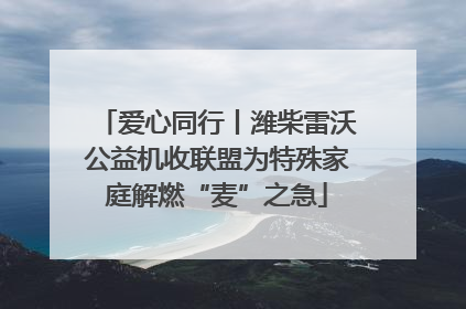 爱心同行丨潍柴雷沃公益机收联盟为特殊家庭解燃“麦”之急