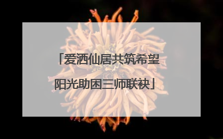 爱洒仙居共筑希望 阳光助困三师联袂