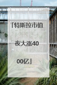 特斯拉市值一夜大涨4000亿