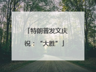 特朗普发文庆祝：“大胜”