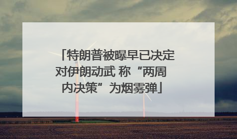特朗普被曝早已决定对伊朗动武 称“两周内决策”为烟雾弹