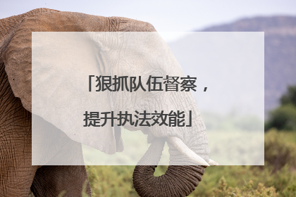 狠抓队伍督察，提升执法效能