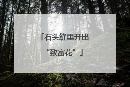 石头缝里开出“致富花”