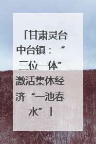甘肃灵台中台镇：“三位一体”激活集体经济“一池春水”