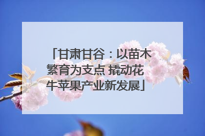 甘肃甘谷：以苗木繁育为支点 撬动花牛苹果产业新发展