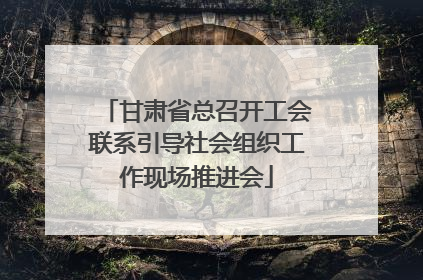 甘肃省总召开工会联系引导社会组织工作现场推进会