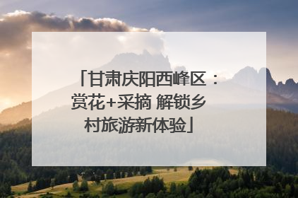 甘肃庆阳西峰区：赏花+采摘 解锁乡村旅游新体验