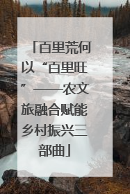 百里荒何以“百里旺”——农文旅融合赋能乡村振兴三部曲