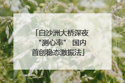 白沙洲大桥深夜“测心率” 国内首创稳态激振法