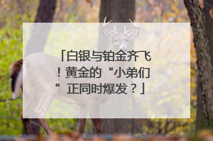 白银与铂金齐飞！黄金的“小弟们”正同时爆发？