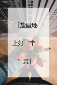 盐碱地上好“丰”景