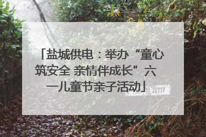 盐城供电：举办“童心筑安全 亲情伴成长”六一儿童节亲子活动