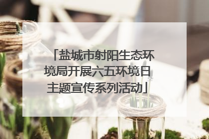 盐城市射阳生态环境局开展六五环境日主题宣传系列活动