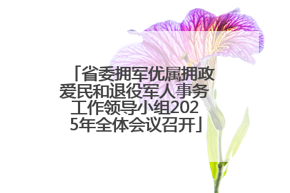 省委拥军优属拥政爱民和退役军人事务工作领导小组2025年全体会议召开