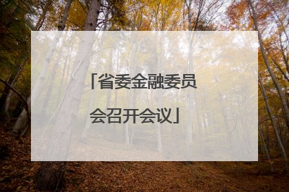 省委金融委员会召开会议