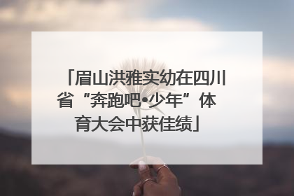 眉山洪雅实幼在四川省“奔跑吧•少年”体育大会中获佳绩