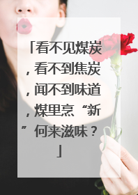 看不见煤炭，看不到焦炭，闻不到味道，煤里烹“新”何来滋味？