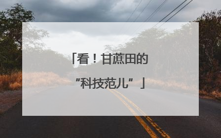 看！甘蔗田的“科技范儿”