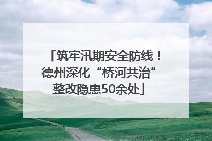 筑牢汛期安全防线！德州深化“桥河共治”整改隐患50余处