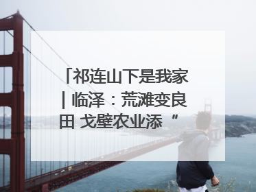 祁连山下是我家｜临泽：荒滩变良田 戈壁农业添“绿”生“金”