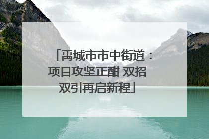 禹城市市中街道：项目攻坚正酣 双招双引再启新程