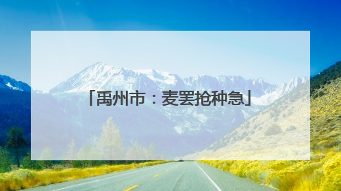 禹州市：麦罢抢种急