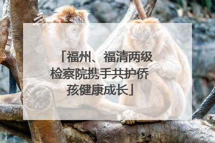 福州、福清两级检察院携手共护侨孩健康成长