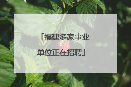 福建多家事业单位正在招聘