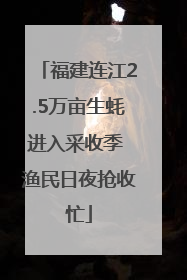 福建连江2.5万亩生蚝进入采收季 渔民日夜抢收忙