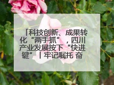 科技创新、成果转化“两手抓”，四川产业发展按下“快进键”丨牢记嘱托 奋力打造两高地两基地一屏障