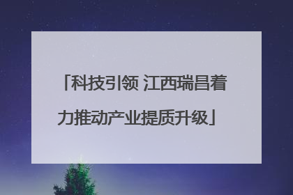 科技引领 江西瑞昌着力推动产业提质升级