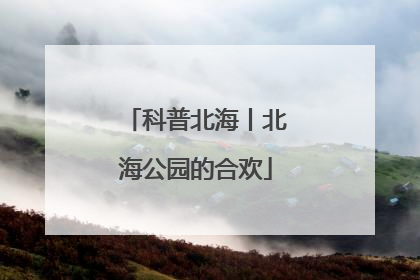 科普北海丨北海公园的合欢