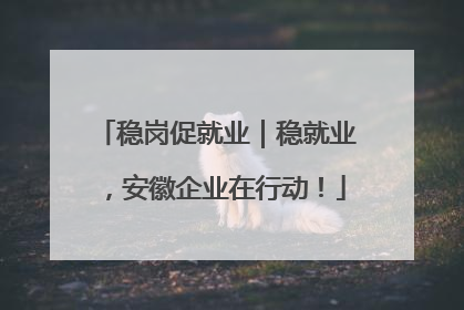稳岗促就业｜稳就业，安徽企业在行动！