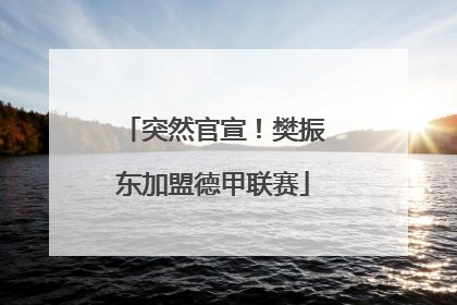 突然官宣！樊振东加盟德甲联赛