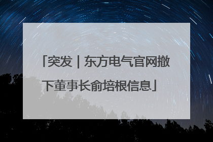 突发｜东方电气官网撤下董事长俞培根信息