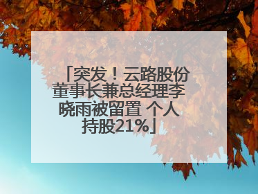 突发！云路股份董事长兼总经理李晓雨被留置 个人持股21%