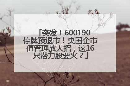 突发！600190停牌预退市！央国企市值管理放大招，这16只潜力股要火？