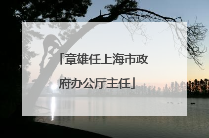 章雄任上海市政府办公厅主任