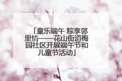 童乐端午 粽享邻里情——花山街道梅园社区开展端午节和儿童节活动